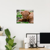 Kutest Baby Animals | Koe van het Hoogland Poster (Thuiskantoor)