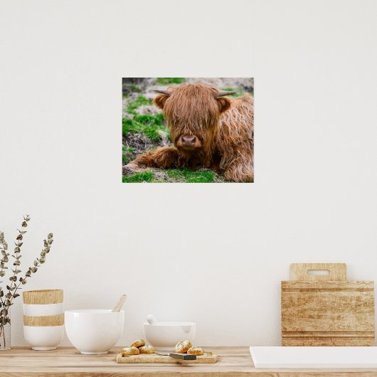 Kutest Baby Animals | Koe van het Hoogland Poster (Keuken)