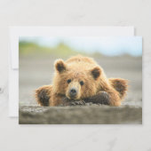 Kutest Baby Animals | Kustbruine Beer Cub Bedankkaart (Voorkant)