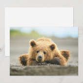 Kutest Baby Animals | Kustbruine Beer Cub Bedankkaart (Voorkant / Achterkant)