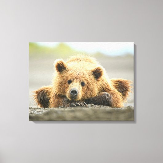 Kutest Baby Animals | Kustbruine Beer Cub Canvas Afdruk (Voorkant)