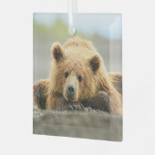 Kutest Baby Animals | Kustbruine Beer Cub Glas Ornament (Voorkant links)