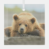 Kutest Baby Animals | Kustbruine Beer Cub Glas Ornament (Voorkant)