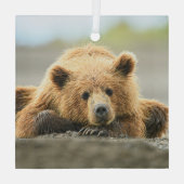 Kutest Baby Animals | Kustbruine Beer Cub Glas Ornament (Achterkant)