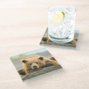 Kutest Baby Animals Kustbruine Beer Cub Glazen Onderzetter