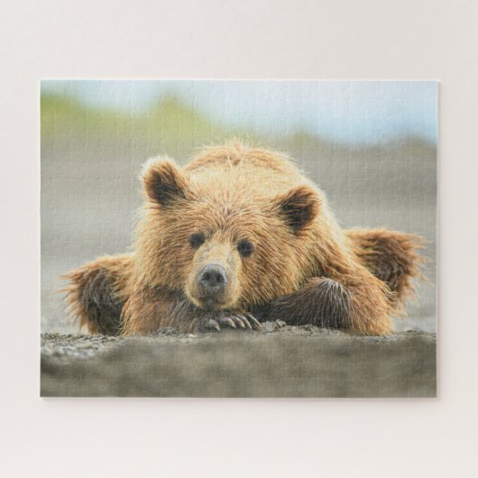 Kutest Baby Animals | Kustbruine Beer Cub Legpuzzel (Horizontaal)