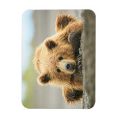 Kutest Baby Animals | Kustbruine Beer Cub Magneet (Verticaal)