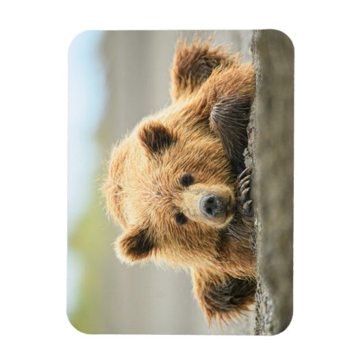 Kutest Baby Animals | Kustbruine Beer Cub Magneet (Verticaal)
