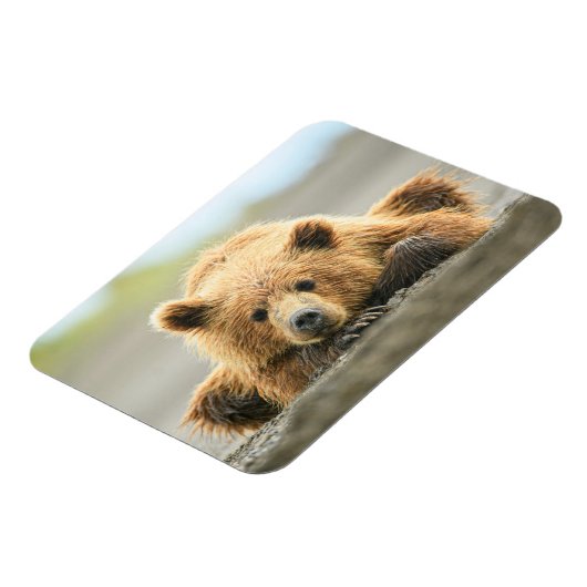 Kutest Baby Animals | Kustbruine Beer Cub Magneet (Linkerzijde)