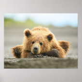 Kutest Baby Animals | Kustbruine Beer Cub Poster (Voorkant)