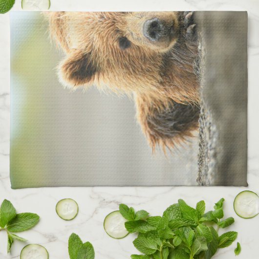 Kutest Baby Animals | Kustbruine Beer Cub Theedoek (Gevouwen)