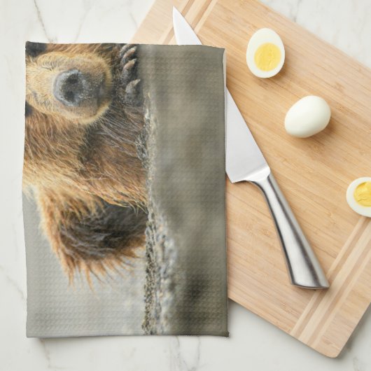 Kutest Baby Animals | Kustbruine Beer Cub Theedoek (Quarter Fold)