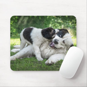 Kutest Baby Animals   Landseer Puppy Muismat