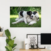 Kutest Baby Animals | Landseer Puppy Poster (Thuiskantoor)