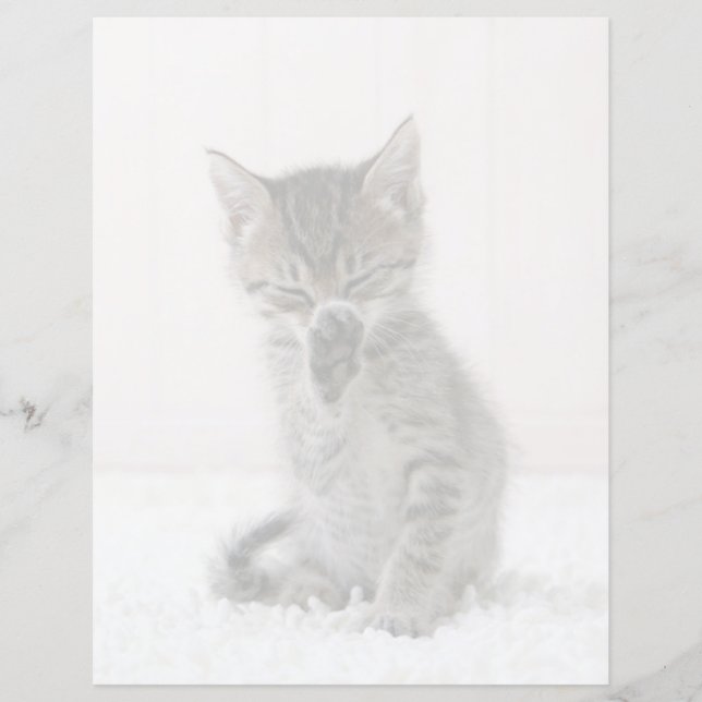 Kutest Baby Animals | Licking Tabby Kitten (Voorkant)