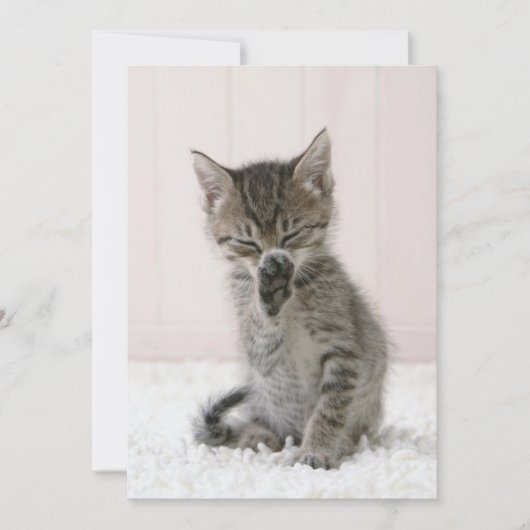 Kutest Baby Animals | Licking Tabby Kitten Bedankkaart (Voorkant)