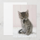 Kutest Baby Animals | Licking Tabby Kitten Bedankkaart (Voorkant / Achterkant)