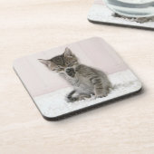 Kutest Baby Animals | Licking Tabby Kitten Bier Onderzetter (Linkerzijde)