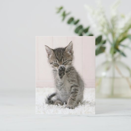 Kutest Baby Animals | Licking Tabby Kitten Briefkaart (Staand voorkant)