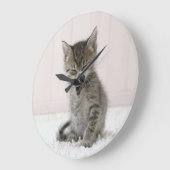 Kutest Baby Animals | Licking Tabby Kitten Grote Klok (Hoek)