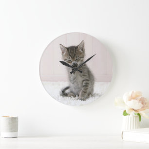 Kutest Baby Animals Licking Tabby Kitten Grote Klok