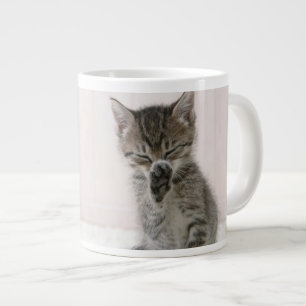 Kutest Baby Animals   Licking Tabby Kitten Grote Koffiekop