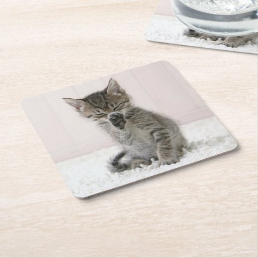 Kutest Baby Animals | Licking Tabby Kitten Kartonnen Onderzetters (Schuin)