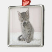 Kutest Baby Animals | Licking Tabby Kitten Metalen Ornament (Links)