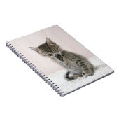Kutest Baby Animals | Licking Tabby Kitten Notitieboek (Rechterzijde)