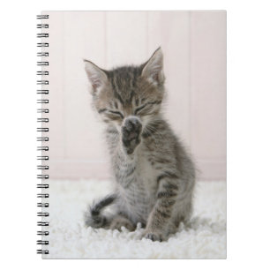 Kutest Baby Animals   Licking Tabby Kitten Notitieboek