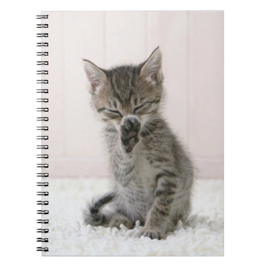 Kutest Baby Animals | Licking Tabby Kitten Notitieboek (Voorkant)