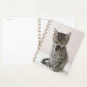 Kutest Baby Animals | Licking Tabby Kitten Planner (Display)