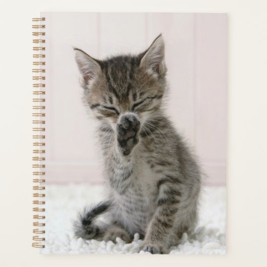 Kutest Baby Animals | Licking Tabby Kitten Planner (Voorkant)