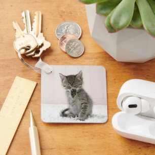 Kutest Baby Animals Licking Tabby Kitten Sleutelhanger
