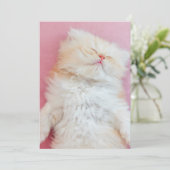 Kutest Baby Animals | Lieve Kitten Slaap Bedankkaart (Staand voorkant)