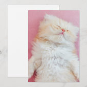 Kutest Baby Animals | Lieve Kitten Slaap Bedankkaart (Voorkant / Achterkant)