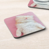 Kutest Baby Animals | Lieve Kitten Slaap Bier Onderzetter (Linkerzijde)