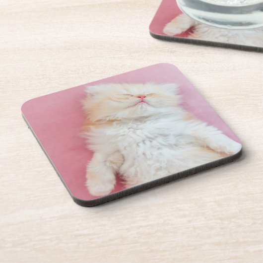 Kutest Baby Animals | Lieve Kitten Slaap Bier Onderzetter (Linkerzijde)