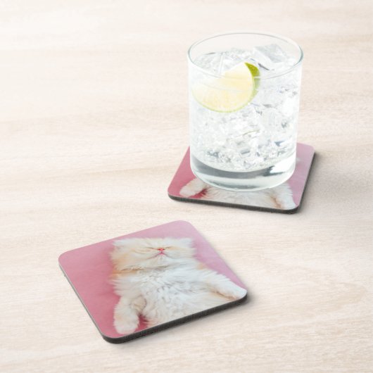 Kutest Baby Animals | Lieve Kitten Slaap Bier Onderzetter (Rechterzijde)