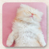 Kutest Baby Animals | Lieve Kitten Slaap Bier Onderzetter (Voorkant)