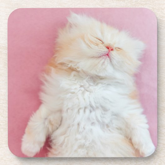 Kutest Baby Animals | Lieve Kitten Slaap Bier Onderzetter (Voorkant)