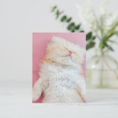 Kutest Baby Animals | Lieve Kitten Slaap Briefkaart (Staand voorkant)