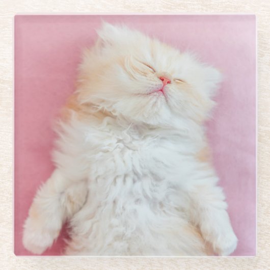 Kutest Baby Animals | Lieve Kitten Slaap Glazen Onderzetter (Voorkant)