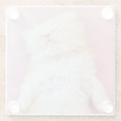 Kutest Baby Animals | Lieve Kitten Slaap Glazen Onderzetter (Achterkant)