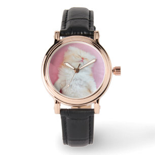 Kutest Baby Animals   Lieve Kitten Slaap Horloge