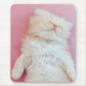 Kutest Baby Animals | Lieve Kitten Slaap Muismat (Voorkant)