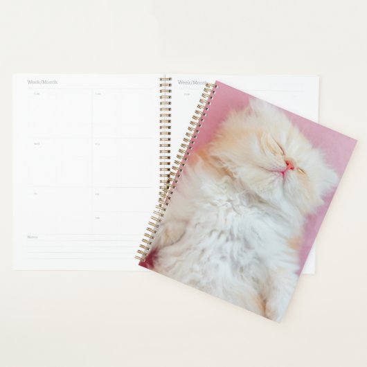 Kutest Baby Animals | Lieve Kitten Slaap Planner (Display)