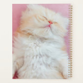 Kutest Baby Animals | Lieve Kitten Slaap Planner (Achterkant)