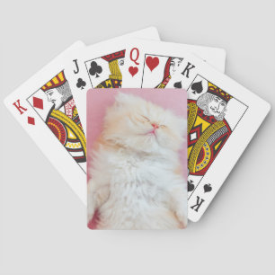 Kutest Baby Animals   Lieve Kitten Slaap Pokerkaarten