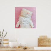 Kutest Baby Animals | Lieve Kitten Slaap Poster (Keuken)